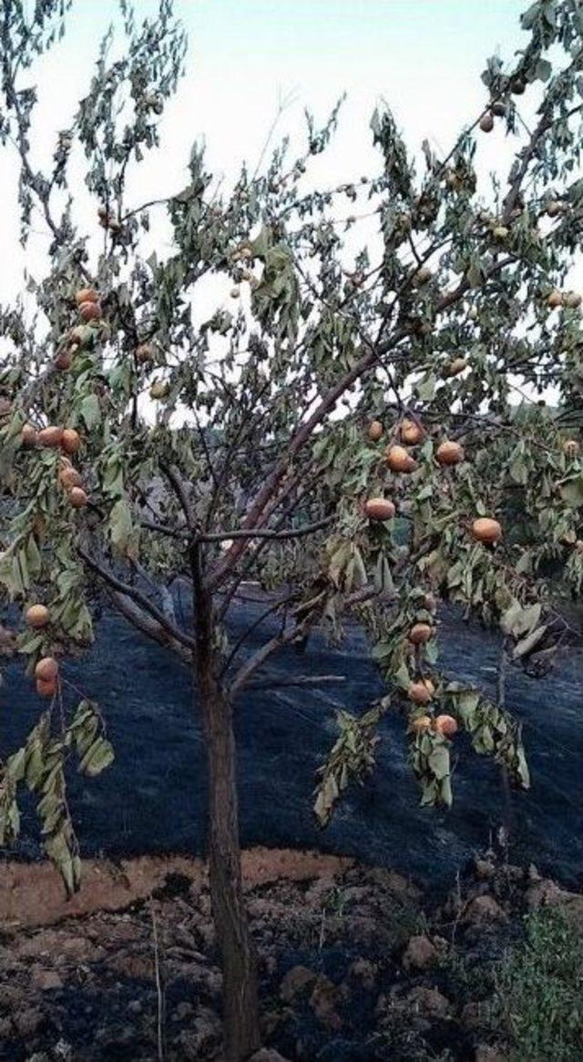 Pütürge’de Bahçe Yangını Korkuttu