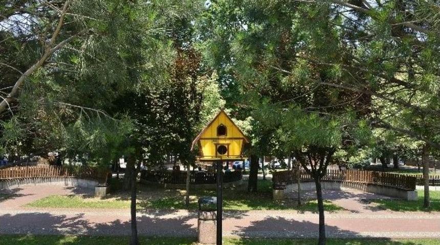 Yıldırım’da Muhtelif Alanlara Kedi Ve Kuş Evi