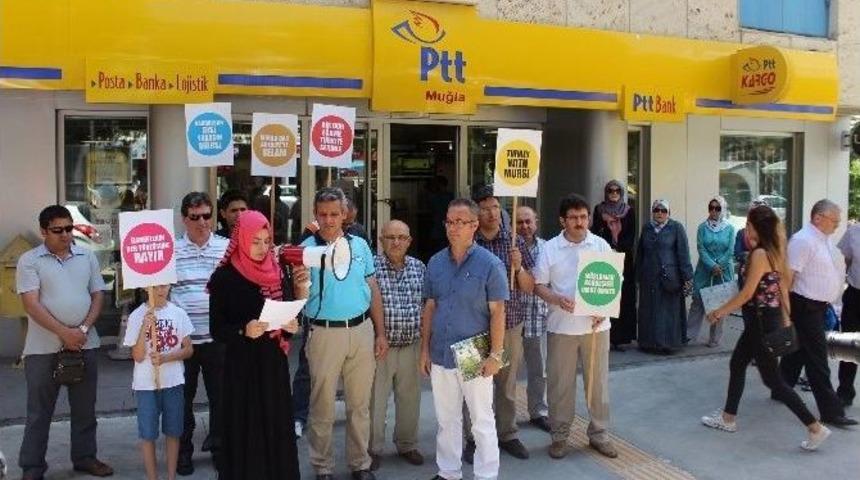 Mim-der&rsquo;den Mısır&rsquo;a Mektup