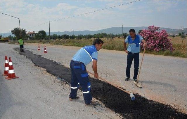 Muski Kendi Hasarını Kendisi Onarıyor