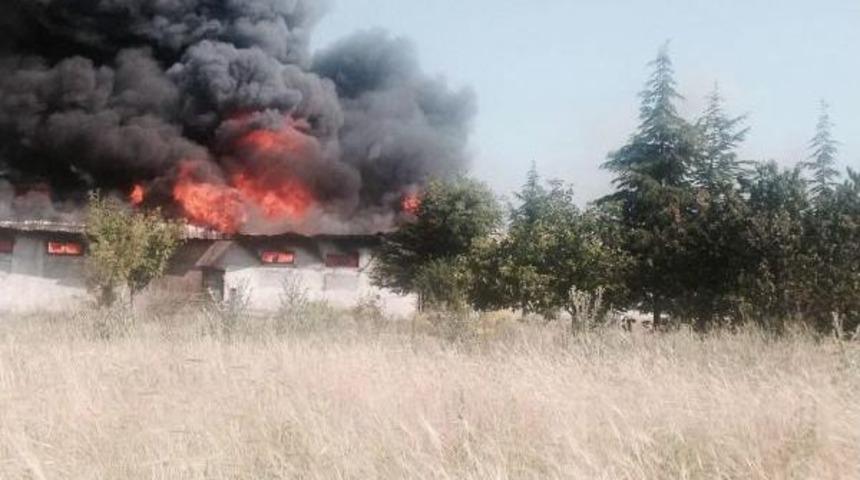 Kazan'da Boya Imalathanesi Yandı