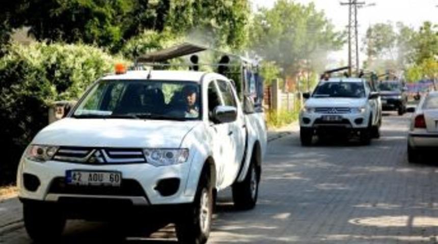 Sel&ccedil;uklu&rsquo;da Haşereyle M&uuml;cadele S&uuml;r&uuml;yor