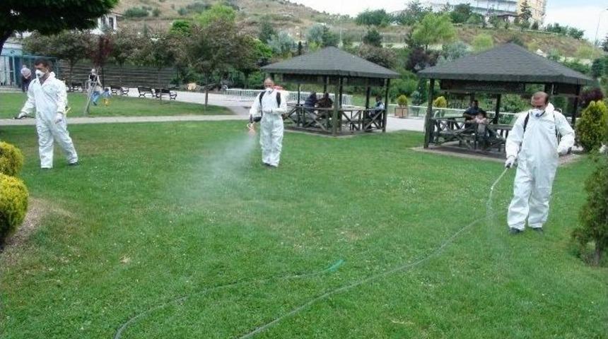 Yozgat&rsquo;ta Keneye Karşı Park Ve Bah&ccedil;elerde İla&ccedil;lama &Ccedil;alışması