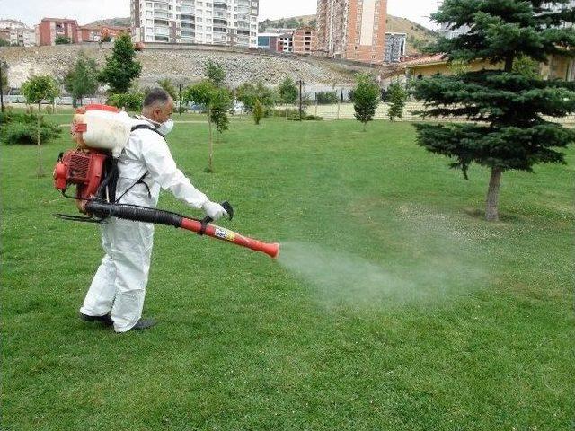 Yozgat’ta Keneye Karşı Park Ve Bahçelerde İlaçlama Çalışması