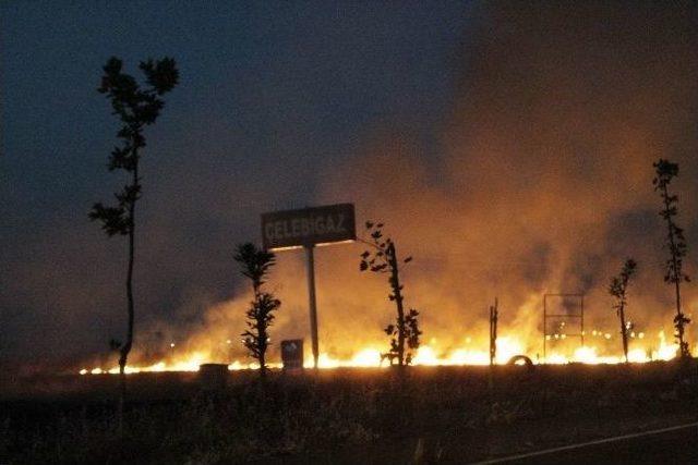 Diyarbakır’da Korkutan Anız Yangını