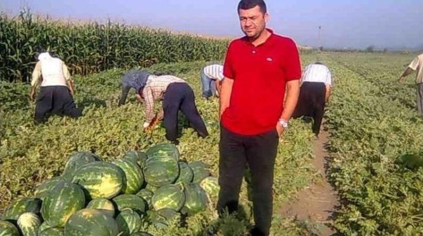 Tarlada 15 Kuruş Olan Karpuzun Fiyatı Nakliyesini Bile Karşılamıyor