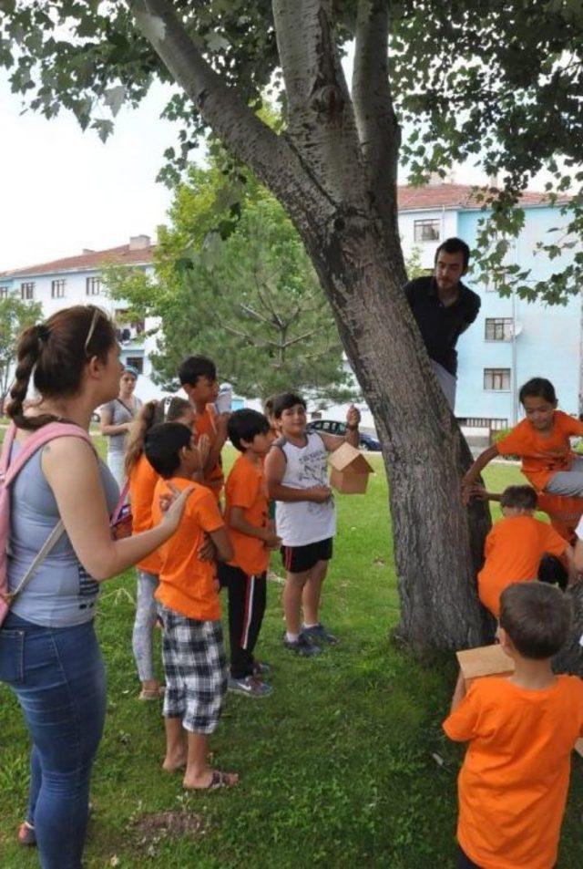 Gezi Olaylarında Ölenler Için Parka Dikilen Çınar Ağaçlarına Kuş Yuvaları Konuldu