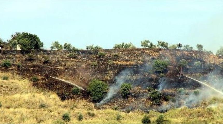 Aydın&rsquo;da &Ouml;rt&uuml; Yangını Korkuttu