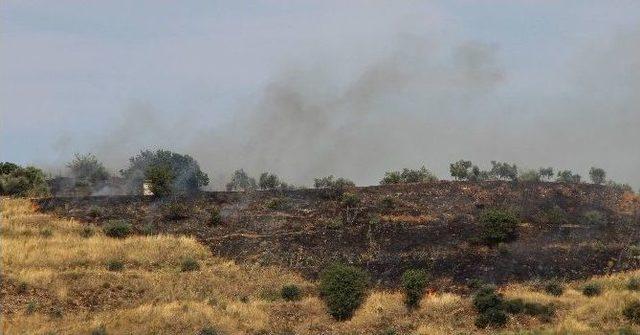 Aydın’da Örtü Yangını Korkuttu