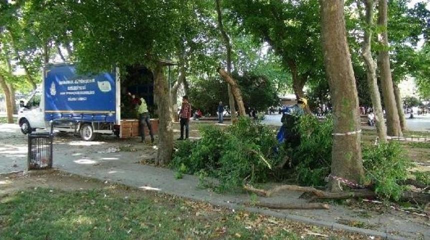 Gezi Parkı'nda Devrilen Ağa&ccedil; Kesildi