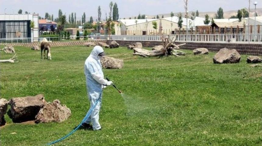 (&ouml;zel Haber) Kayseri Keneye Karşı Alarma Ge&ccedil;ti