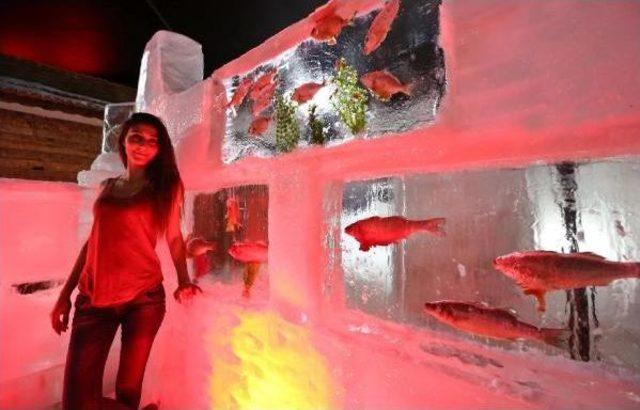 Türkiye'nin Ilk Buz Heykel Müzesi Antalya'da