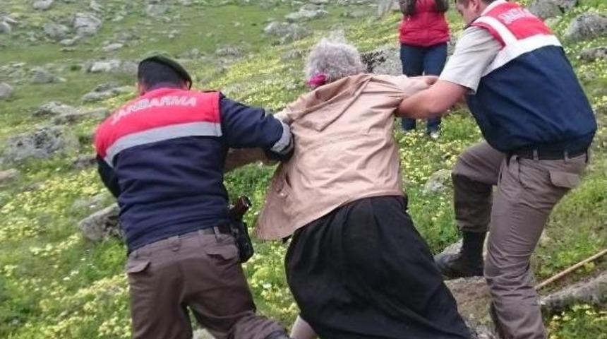 Yeşil Yol Direnişinin Sembol&uuml; Kadınlar: M&uuml;cadelemiz S&uuml;recek