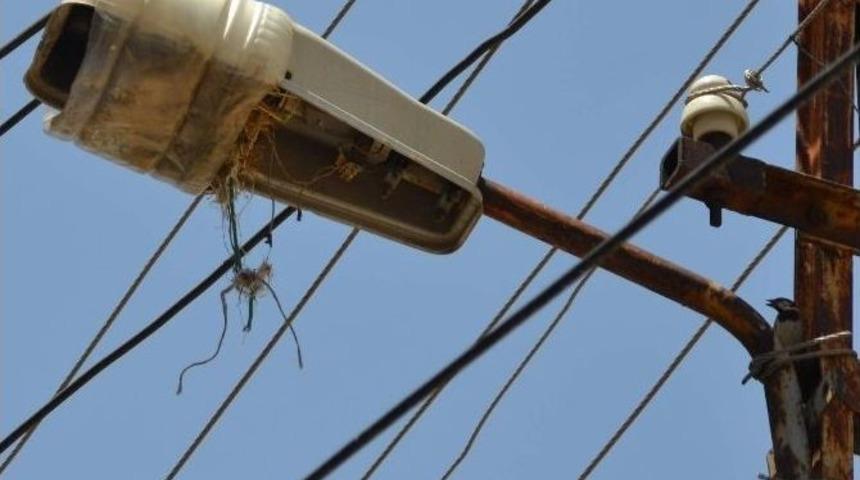 Kırılan Sokak Lambalarına İlginç Çözüm