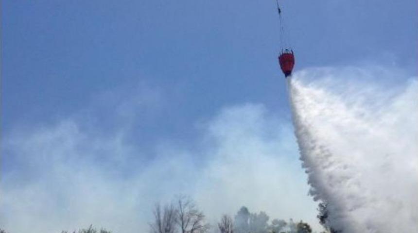 Didim'de Orman Yangını