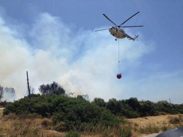 Didim'de Orman Yangını