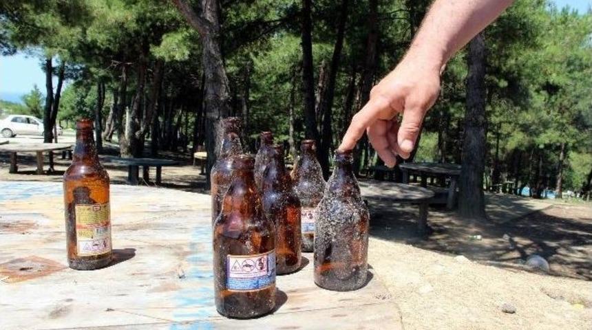 Piknik Alanları &Ccedil;&ouml;pl&uuml;k İ&ccedil;inde