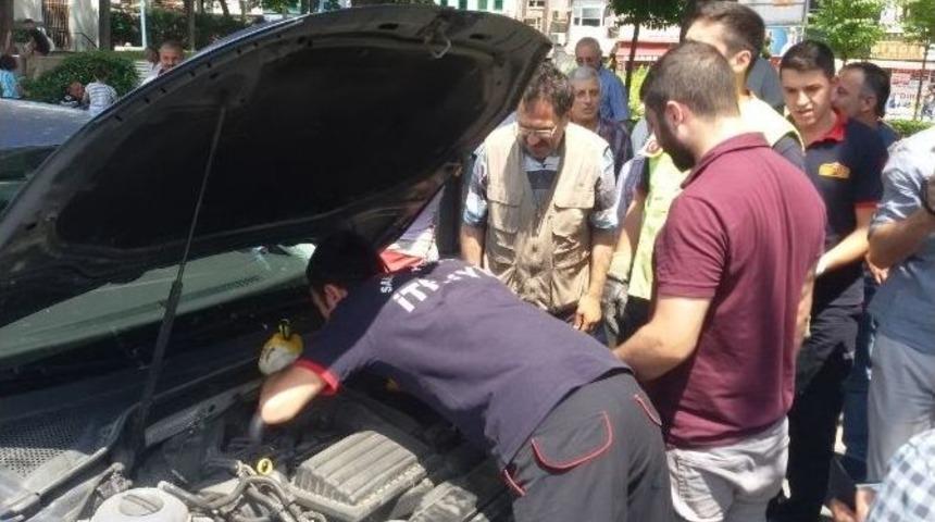 Trafik Işıklarında Kedi Kurtarma Operasyonu