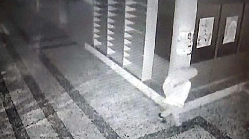 Nizip'te Fıstık Hırsızlığına 3 Tutuklama