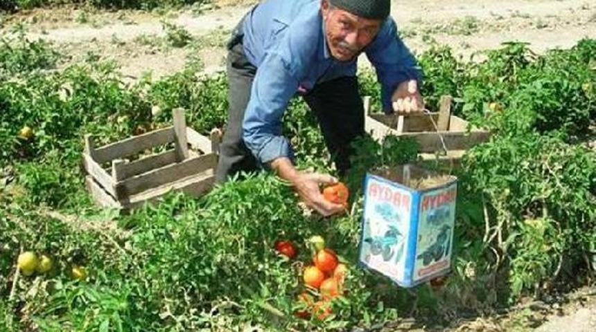 Otomobilin &Ccedil;arptığı Trakt&ouml;r S&uuml;r&uuml;c&uuml;s&uuml; D&uuml;şd&uuml;, Tekerin Altında Ezildi