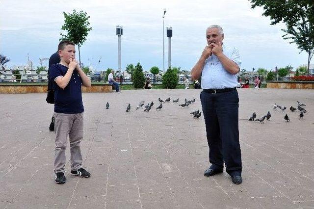 Kuş Dili Teknolojiye Meydan Okuyor