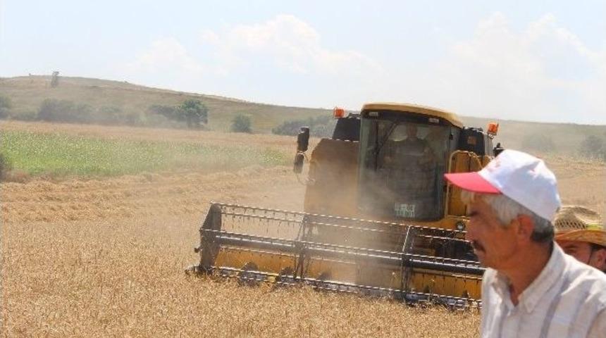 Hasat Zamanının Gelmesiyle Bi&ccedil;erd&ouml;ver Kontrolleri Başladı