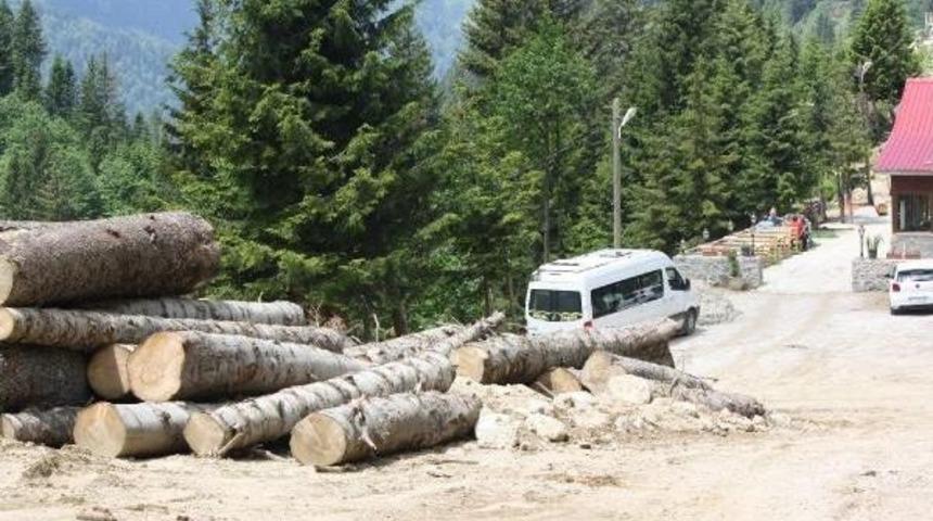 Rizelinin Yeşil Yol &Ouml;fkesi (3)