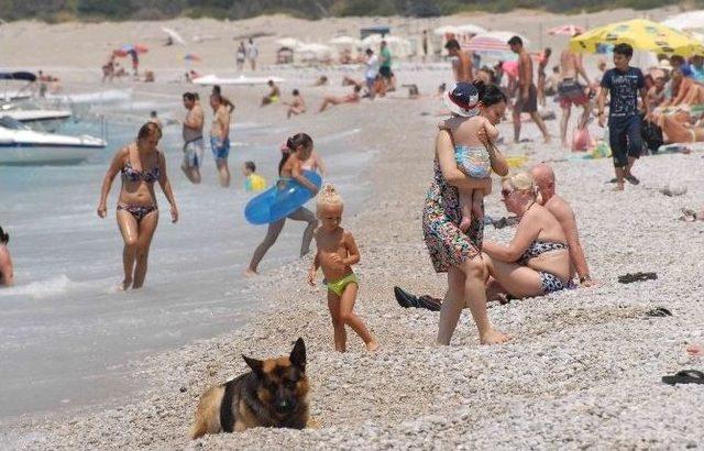 Ölüdenizde Bayram Yoğunluğu Başladı