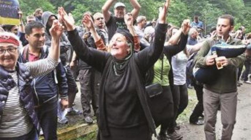 Court Halts Execution Of Road Construction Project In Black Sea Forest