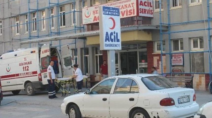 Dut Toplarken Ağa&ccedil;tan D&uuml;şerek &Ouml;ld&uuml;