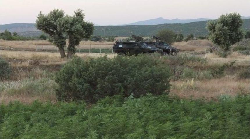 Diyarbakır&rsquo;da 206 Bin 500 K&ouml;k Hint Keneviri Ele Ge&ccedil;irildi