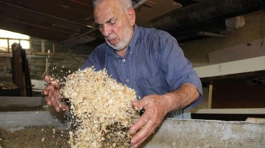 (&ouml;zel) Her G&uuml;n Saat 04.00&rsquo;te Kalkıp Bu İşi Yapıyor