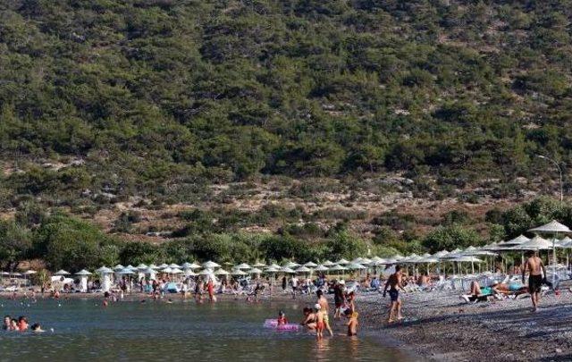 Doğu Akdeniz'in Bodrum'u; Tisan