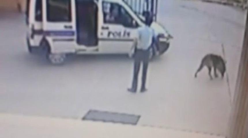 K&ouml;pek Efe&rsquo;yi Vuran Komiser Yardımcısı Hakkında İddianame Hazırlandı