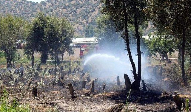 Mezarlıkta Çıkan Yangın Büyümeden Söndürüldü