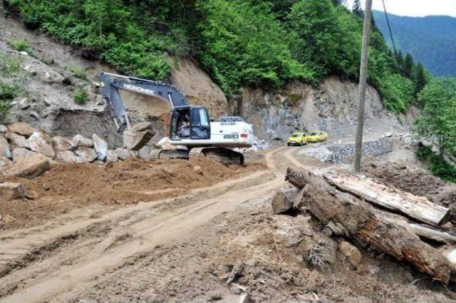 Yeşil Yol'da Ağaç Katliamı