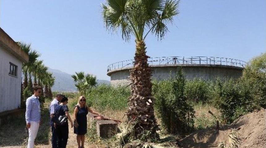 B&uuml;y&uuml;kşehir&rsquo;den &Ccedil;evreye B&uuml;y&uuml;k Saygı