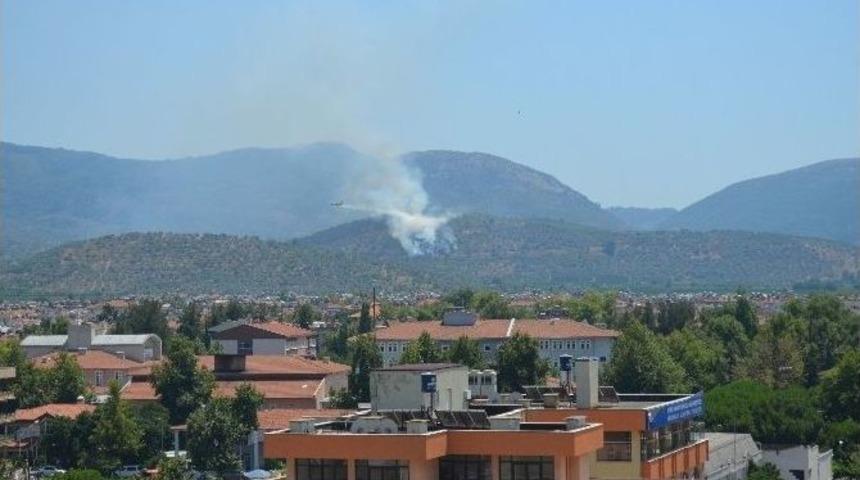 Sel&ccedil;uk&rsquo;ta İki Ayrı B&ouml;lgedeki Orman Yangını Korkuttu