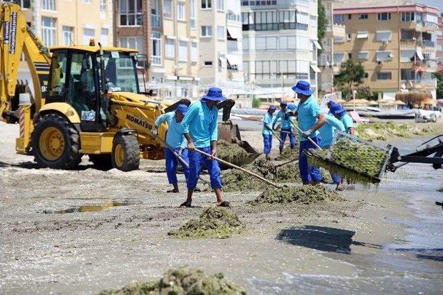 İbb’den Plaj Temizliği