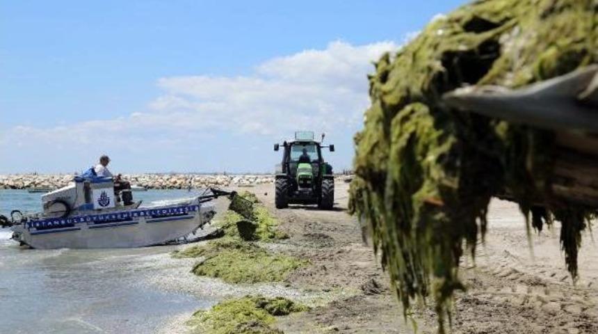 İbb: G&uuml;neş, Menekşe Ve Caddebostan Gibi Merkezi Plajlar Dahil Bir&ccedil;ok Noktadaki Su  Denize Girilebilecek Kadar Temiz