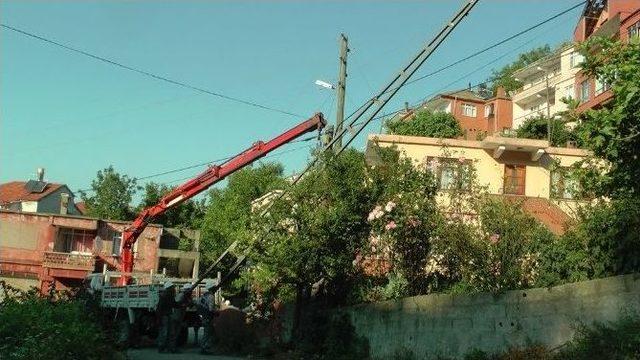 Türkali’de Elektrik Direkleri Yenileme Çalışmaları