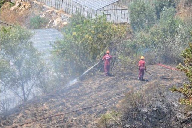 Gazipaşa’da Anız Yangını Korkuttu.