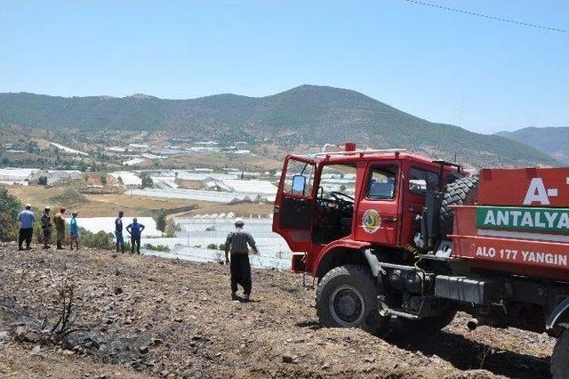 Gazipaşa’da Anız Yangını Korkuttu.