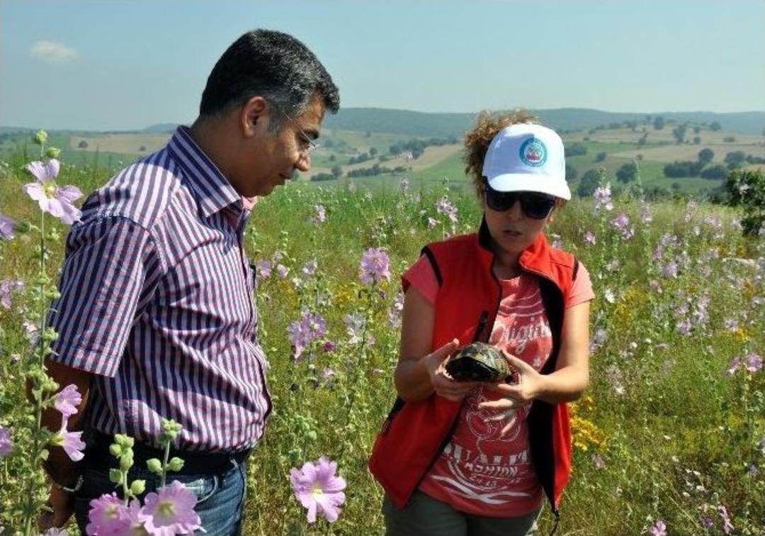 Bilecik&rsquo;te "ulusal Biyolojik &Ccedil;eşitlilik Envanter Ve İzleme"projesi