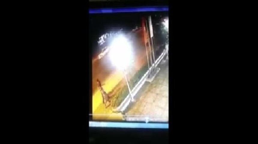 Kontrolden &Ccedil;ıkan Otomobil, Kaldırımdaki 3 Gence &Ccedil;arptı: 1 &Ouml;l&uuml;, 2 Ağır Yaralı...