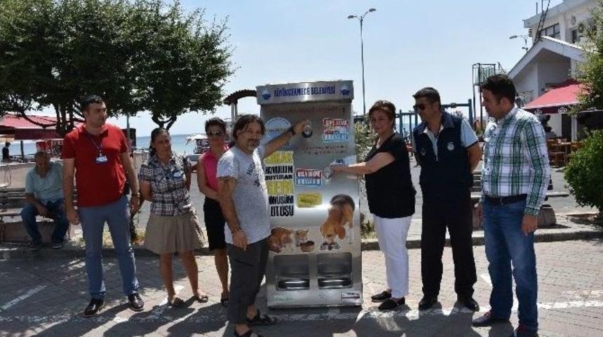 B&uuml;y&uuml;k&ccedil;ekmece&rsquo;de Doğa Sevgisi, Hayvan Sevgisiyle Buluşuyor