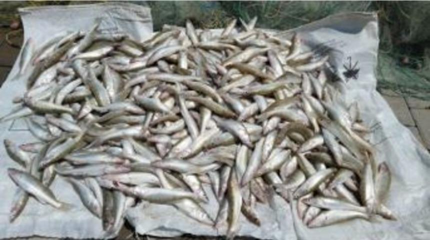 Jandarmadan Beyşehir G&ouml;l&uuml;&rsquo;nde Yavru Balık Denetimi