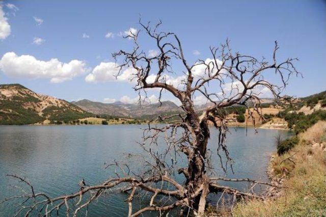 Tunceli'de, Baraj Gölünde Mahsur Kalan Ailenin Köprü Zaferi