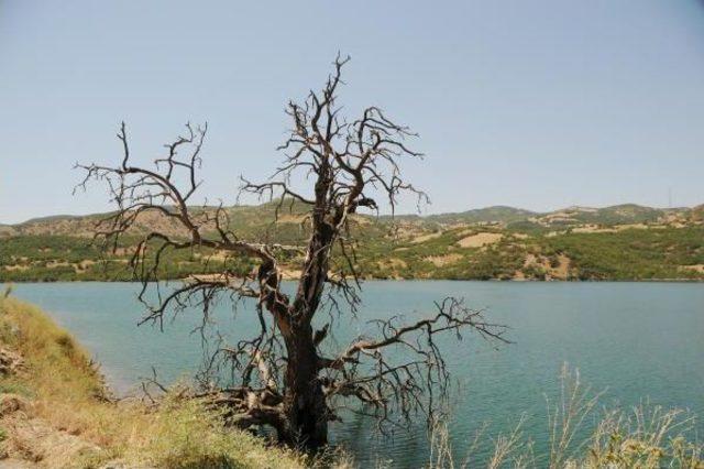 Tunceli'de, Baraj Gölünde Mahsur Kalan Ailenin Köprü Zaferi