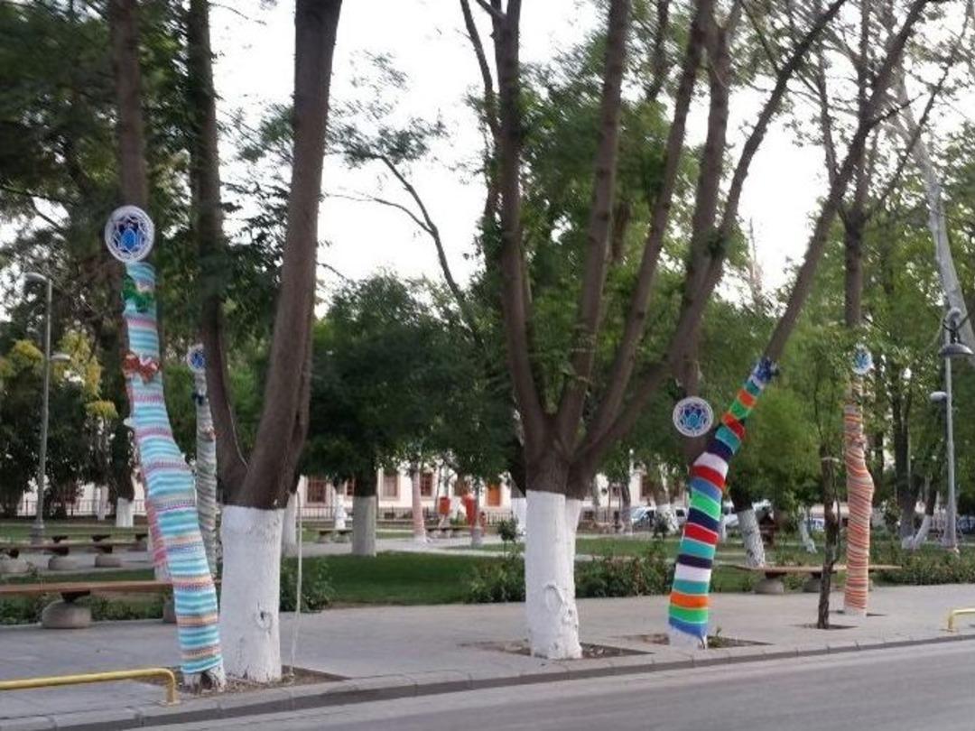 Vilayet Parkında Ağa&ccedil;lar Bayramlıklarını Erken Giydi